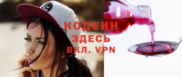 стаф Осинники