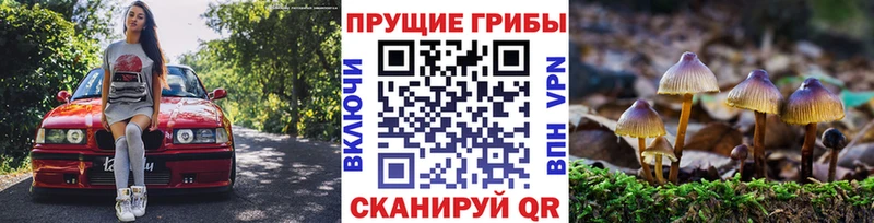 Псилоцибиновые грибы мицелий Минусинск