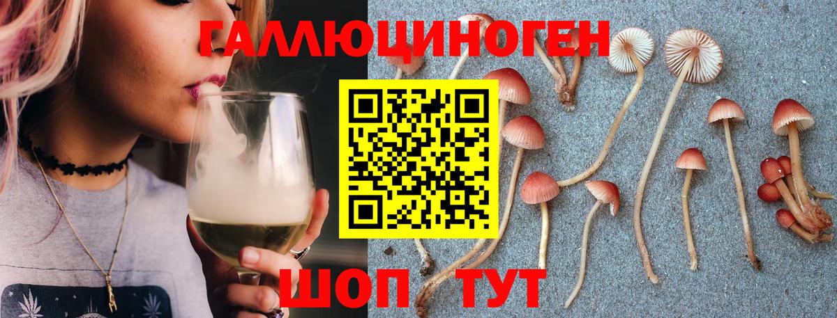 Галлюциногенные грибы ЛСД  Вход с VPN  Минусинск  Галлюциногенные грибы мухоморы 