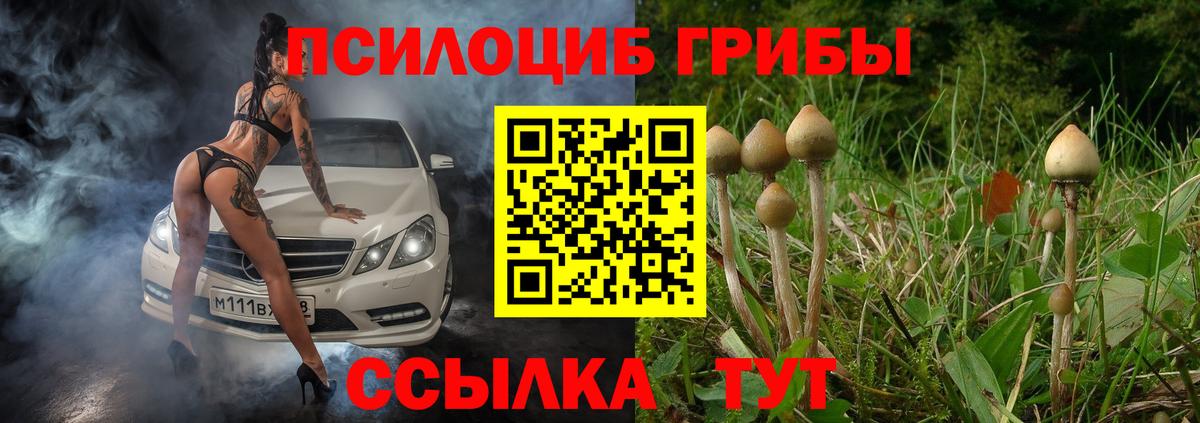 Галлюциногенные грибы Magic Shrooms Минусинск